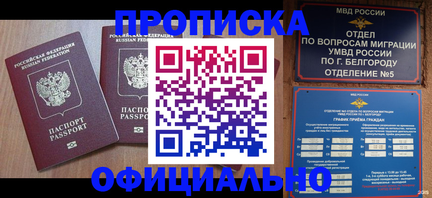 найти адрес прописки в Ивантеевке